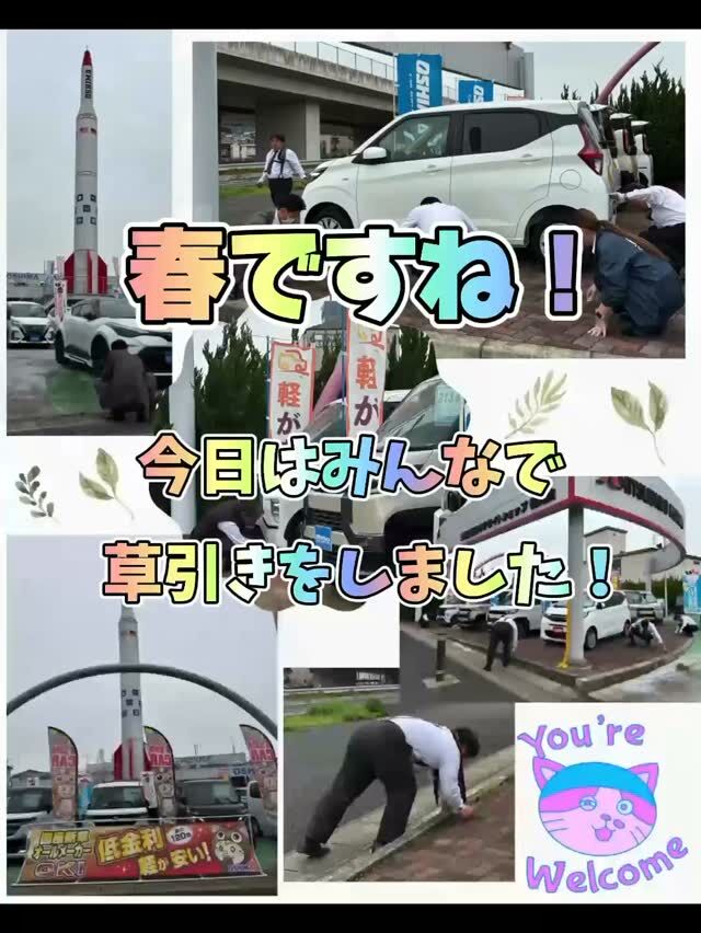 【春の草引き日和🌱】
大嶋カーサービスは新車・中古車の販売から車検、整備など、車に関わるサービスを提供しております。

春になり、展示場のインターロックの隙間から
10～15cmほどに伸びた雑草が…🌿

本日は朝礼の時間を使って、社員みんなで
草引きをしました！

協力すると意外と楽しく、あっという間に
展示場がきれいに✨

綺麗になると嬉しいですね😊

草引きの様子を写真に収めました。
草引きの写真とともに、春の一コマをお届けします
📸福知山城と桜🌸です。（少し前に写しました）

今日はお出かけ日和ですね、
皆様 良い休日・一日をお過ごしください☺

#春の展示場#草引き日和#車屋の日常#みんなで協力#地域密着企業#クルマのある暮らし#社員みんなで＃福知山城と桜